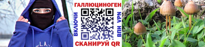 хочу наркоту  Дальнереченск  KRAKEN ТОР  Галлюциногенные грибы прущие грибы 